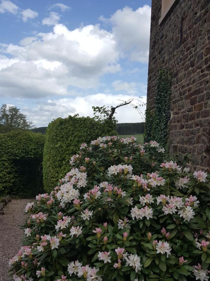 Die Alte Schule-Studio Alfersteg Exteriör bild
